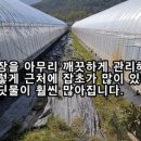 번성농장 이미지