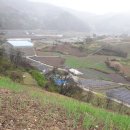 덕산면043 이미지