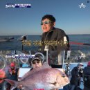 도시어부 이미지