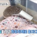 따봉 이미지