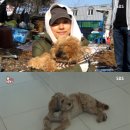 고재완 농장 이미지