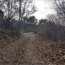 무릉도원면-10 이미지