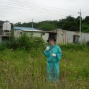 과림농장 이미지