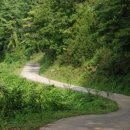 청풍호로 이미지