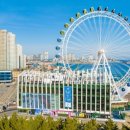 참새둥지야영장 이미지