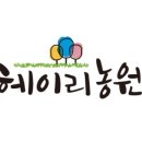 110헤이리 이미지