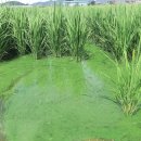 낙동강물환경연구소 이미지