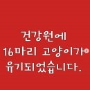 희망건강원 이미지
