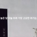 담높은집 이미지