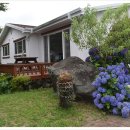 블라제 | 제주 표선 숙소 기대이상으로 만족스러웠던 [블라제리조트]에서의 특별한 숙박 후기 남겨보아요