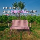 [시흥 가볼 만한 곳] 연꽃은🪷 얼마나 피었을까! 초여름, 연꽃테마파크는 지금?