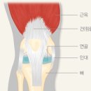 신매약국 이미지