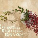 아름다운시선 이미지
