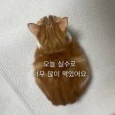 2025년 하반기 실전 압축 -근황발표 2-