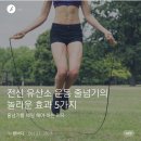 전신 유산소 운동 줄넘기의 놀라운 효과 5가지 – 줄넘기를 매일 해야하는 이유 이미지