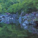 남도여행사(주)