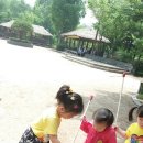 개화산공원 Daum카페