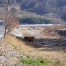 고향마을 이미지