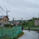 원주굽이길 4코스 꽃양귀비길 이미지