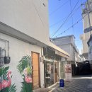 피터패트101 (Pitapat101)