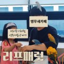 인천앵무새카페 리프패럿 검단신도시점 이용후기