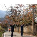 전진엘리베이터
