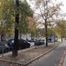 굿모닝퍼피 이미지