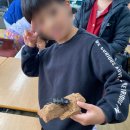 봉황초등학교 | [경남 직업인특강] 김해 봉황초등학교에서 곤충컨설턴트 직업인 체험을 진행했습니다~!