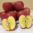 월곡농장 이미지