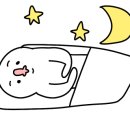 아르떼퍼피 이미지