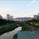 수색동 380-1 이미지