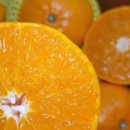 좋은농장 이미지