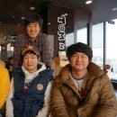 세분당구장 Daum카페