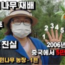 (주)비타민나무 네이버블로그