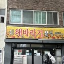 해바라기식당 | 제주 또간집 신해바라기식당 오픈런 내돈내산 후기