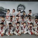 기품태권도 이미지