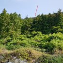 남해-305 이미지