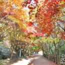 풍암제길 이미지