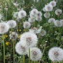 해남농장2 이미지