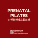 필라테스D 이미지