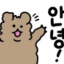 마이램9 이미지