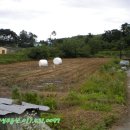 덕산양계 이미지