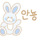뷰티플러스샵 네이버블로그