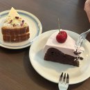 그림책 읽어주는 동물병원 이미지