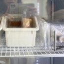 오늘뿐이개 이미지