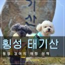 노고산 공중화장실 | 횡성 애견동반 여행 태기산 강아지와 함께 산책