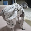 지영의류 이미지