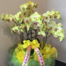 향암미술관 이미지