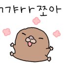 시시소소 이미지