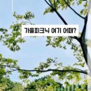 썬샤인조경 이미지